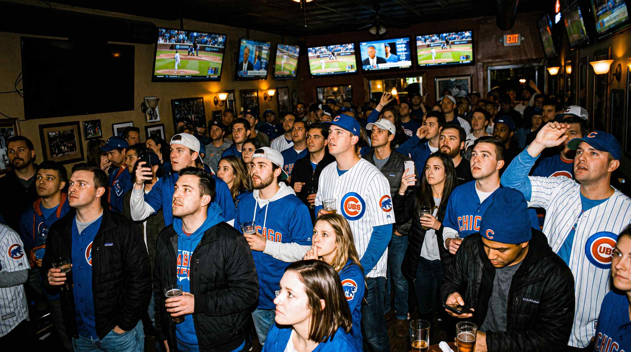 Chicago Cubs Fans